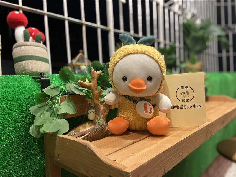 文化A可租補貓寵獨洗陽台房新崛江📞愛窩,愛窩 iwow house