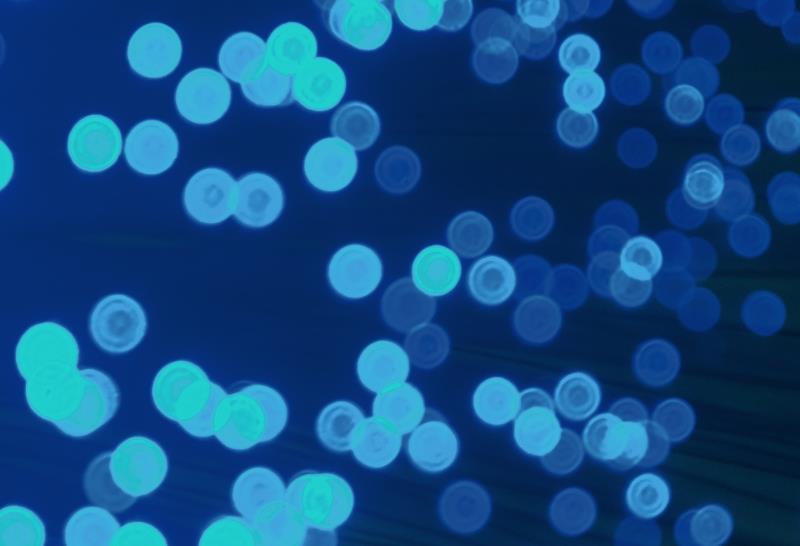 測試房,愛窩 iwow house