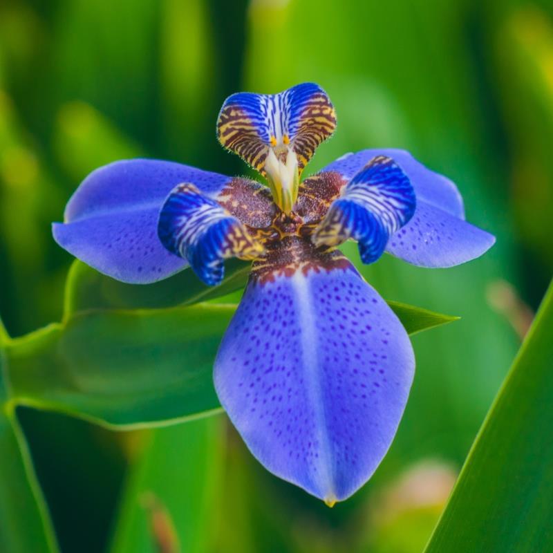 測試房,愛窩 iwow house