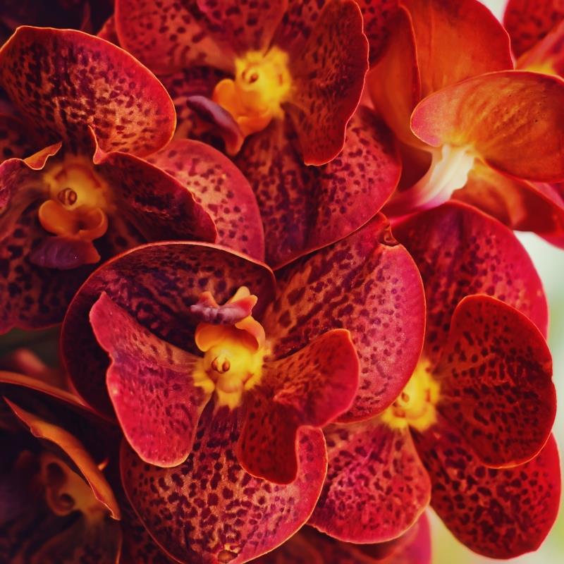 測試房,愛窩 iwow house